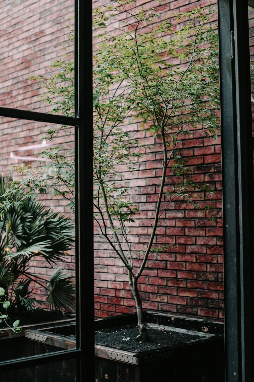 Yaletown Bistro Concept